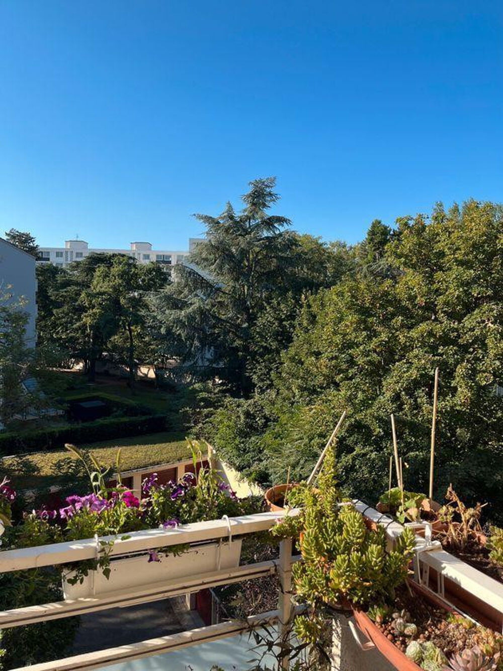 Location Appartement Beau 4P meublé 68m² très lumineux Lyon 5