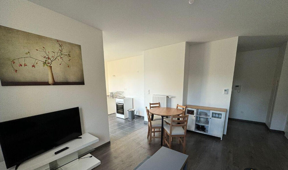 Location Appartement Location meublée - idéal frontalier Saint-louis