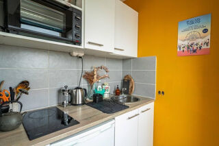  Appartement à louer 1 pièce 27 m²