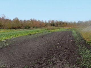  Maison  vendre 3 pices 85 m