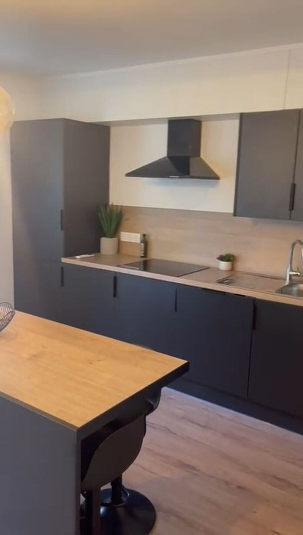 Location Appartement Beau T3 meublé 57m² haut de gamme refait à neuf Marseille 8