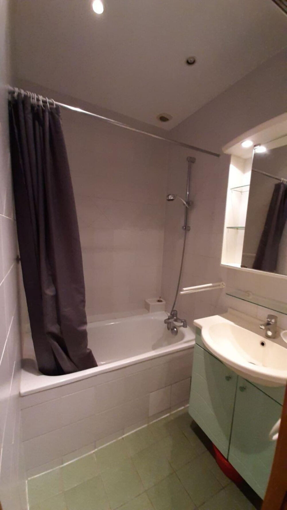 Location Appartement Colocation quai de Grenoble Grenoble