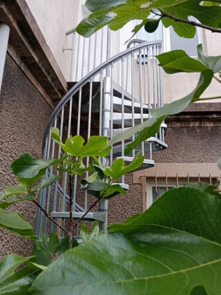  Appartement � louer 1 pi�ce 28 m�