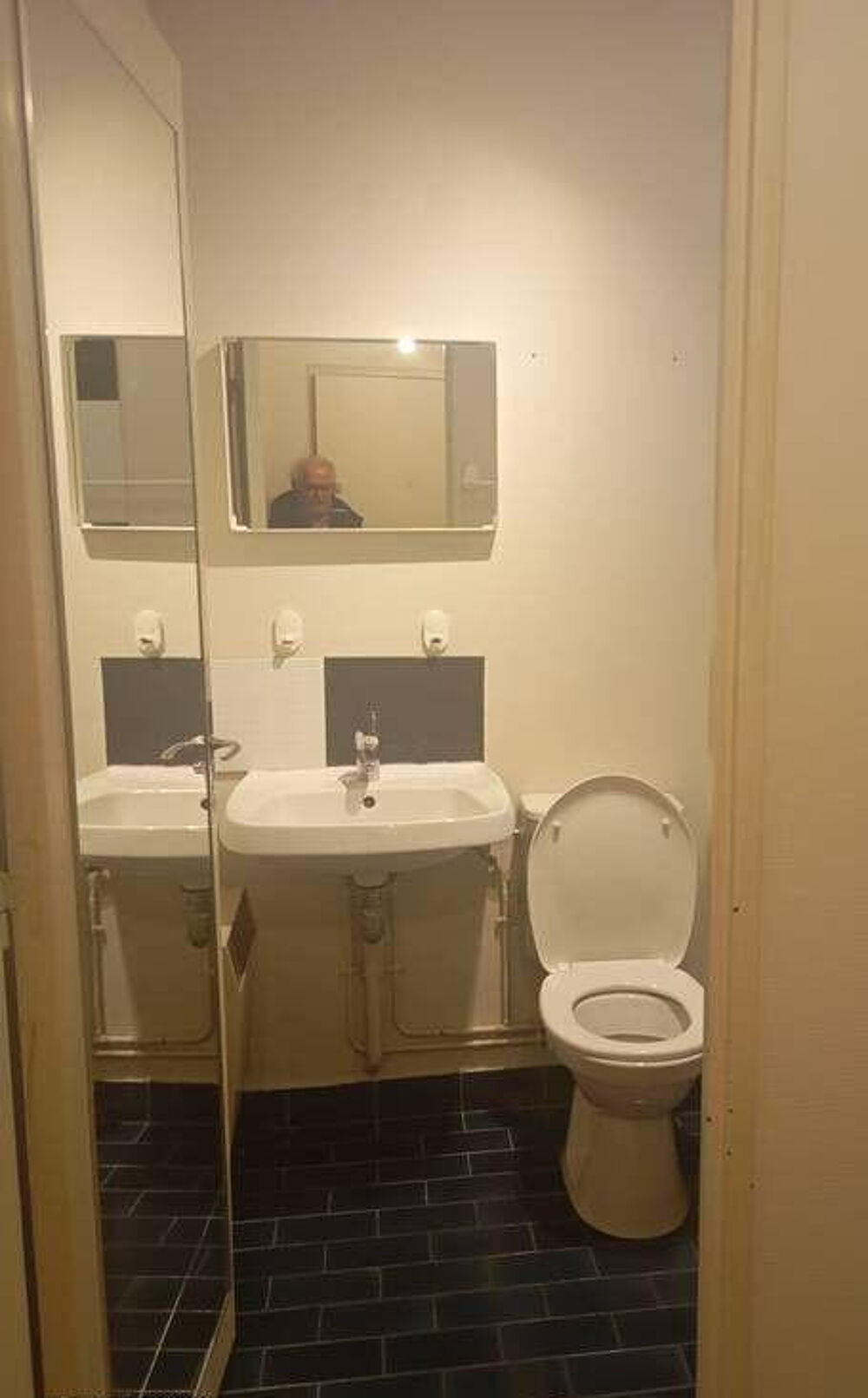 Location Appartement Beau studio 27m² clair calme et entièrement rénové Lille