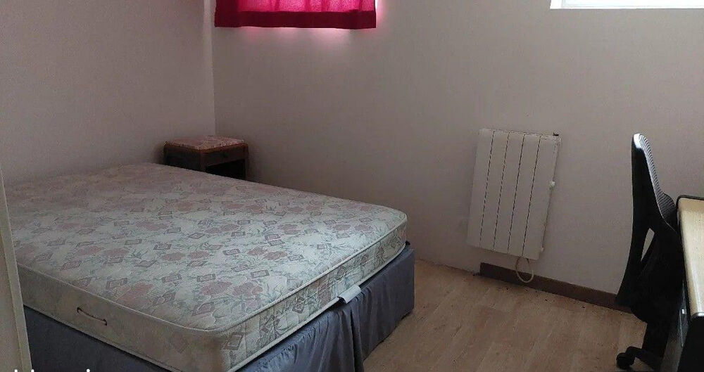 Location Appartement Beau studio meublé donnant sur un jardin Lyon 4
