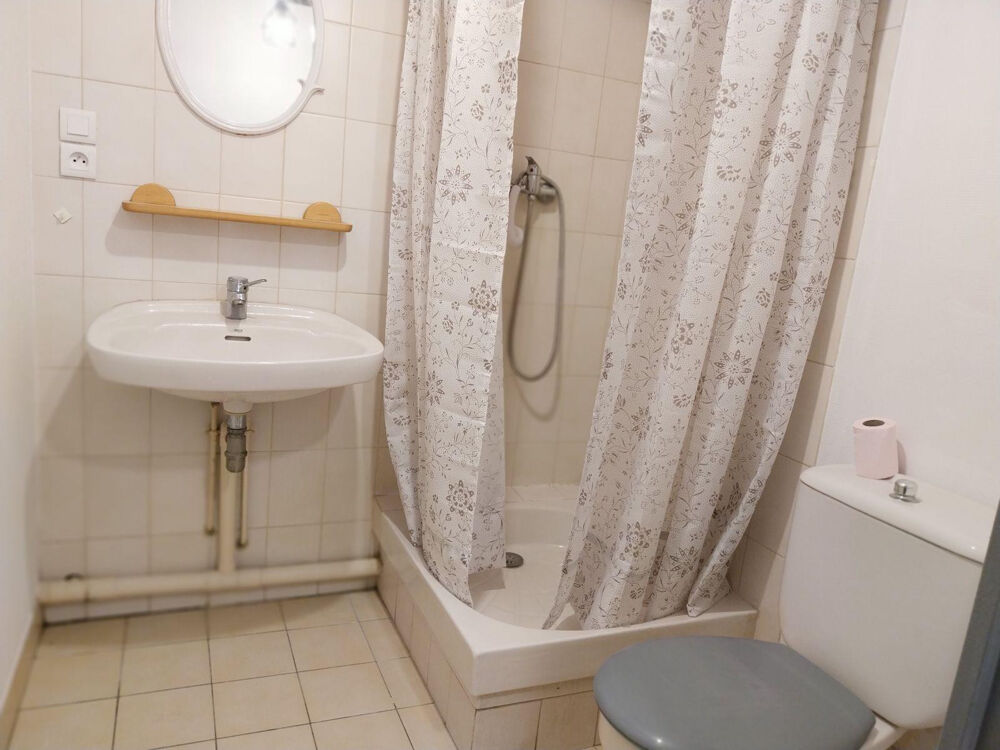 Location Appartement Grand studio meublé refait à neuf 35m² Tours