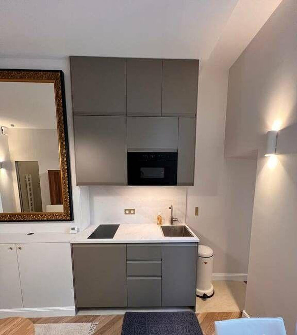 Location Appartement Beau studio 19m² rénové et équipé haut de gamme Paris 4