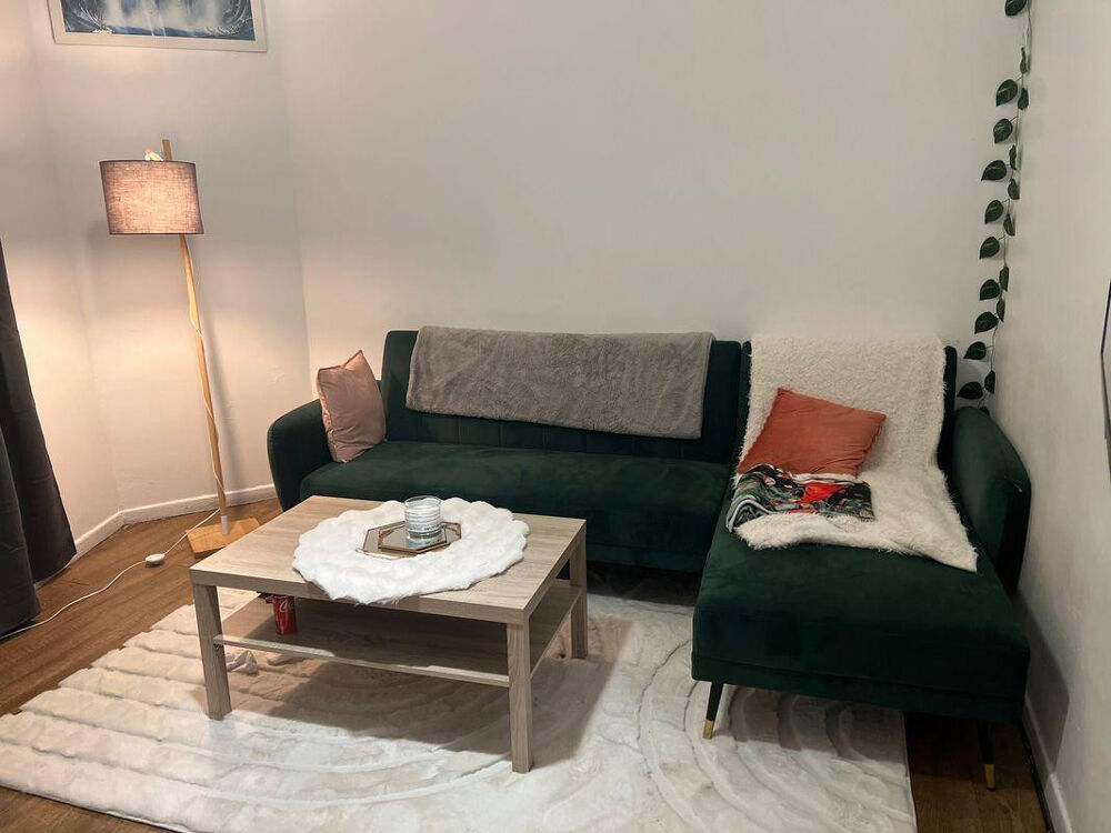 Location Appartement Appartement f2 lumineux Saint-maurice