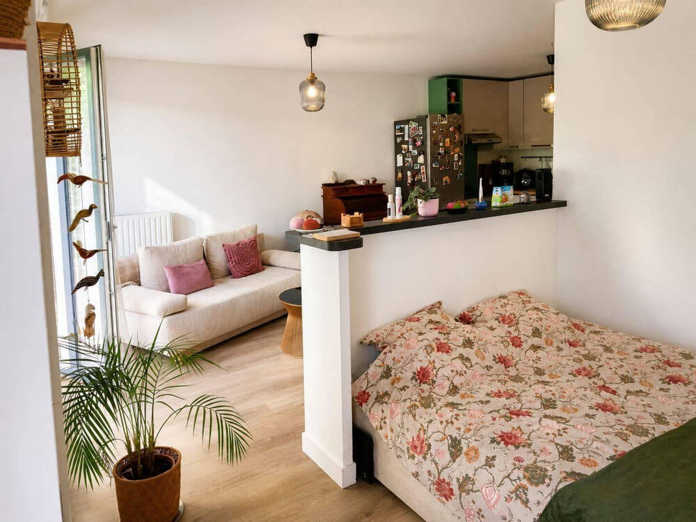 Location Appartement Magnifique studio / T2 Nogent sur Marne Nogent-sur-marne