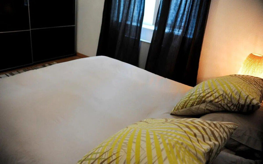 Location Appartement Beau T2 meublé 45m² à deux pas du Métro Jean Macé Lyon 7