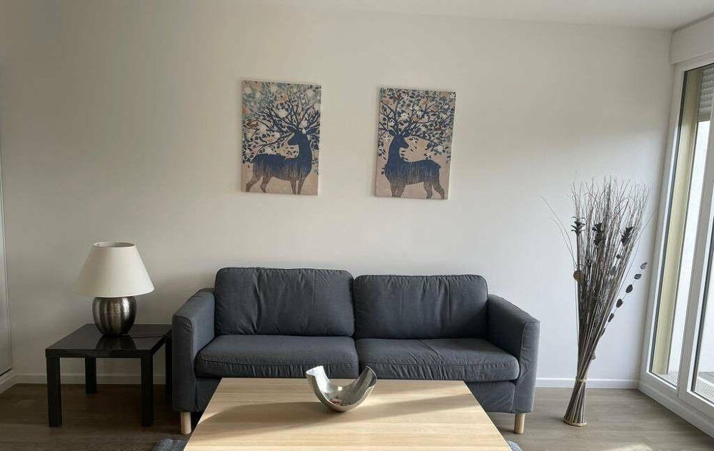 Location Appartement Chambre dans une colocation 93m² Châtenay-malabry