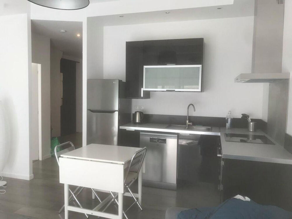 Location Appartement Appt 2 pieces meublé hyper centre Grenoble