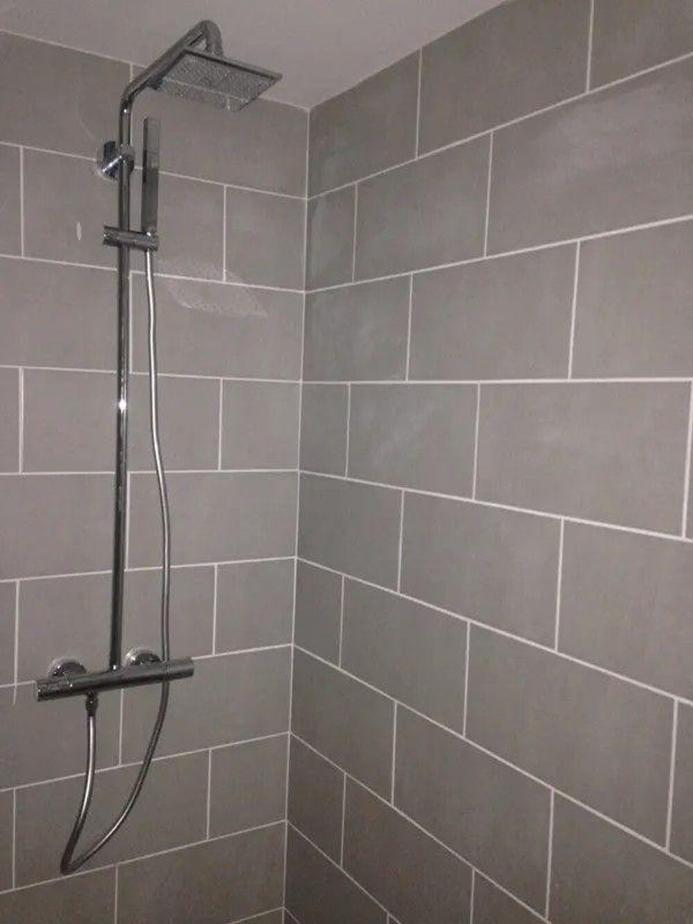 Location Appartement Beau loft meublé 36m² loi Carrez ( 56m² au sol) Saint-Étienne