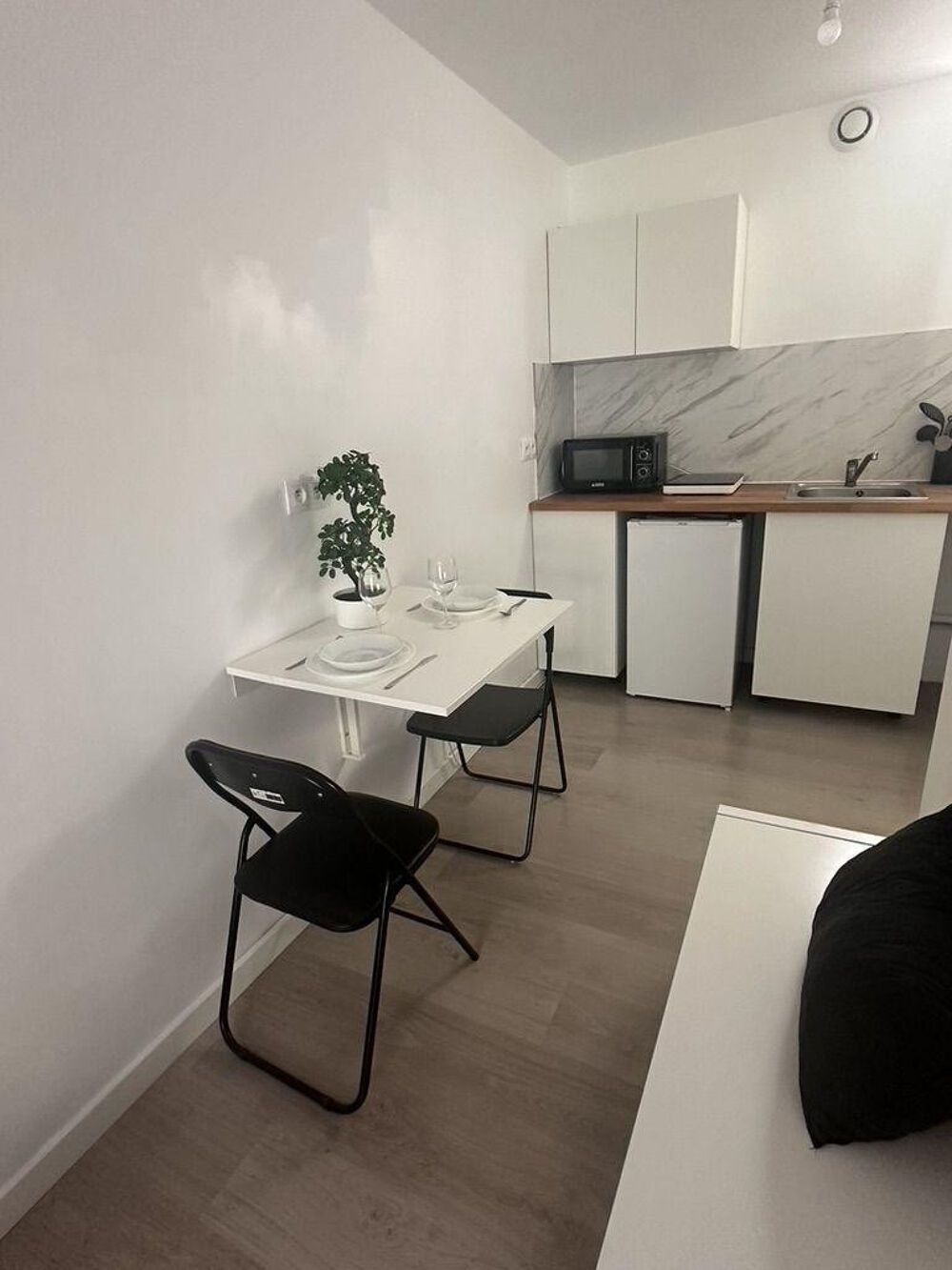Location Appartement Studio Meublé donnant sur Jardin Tours