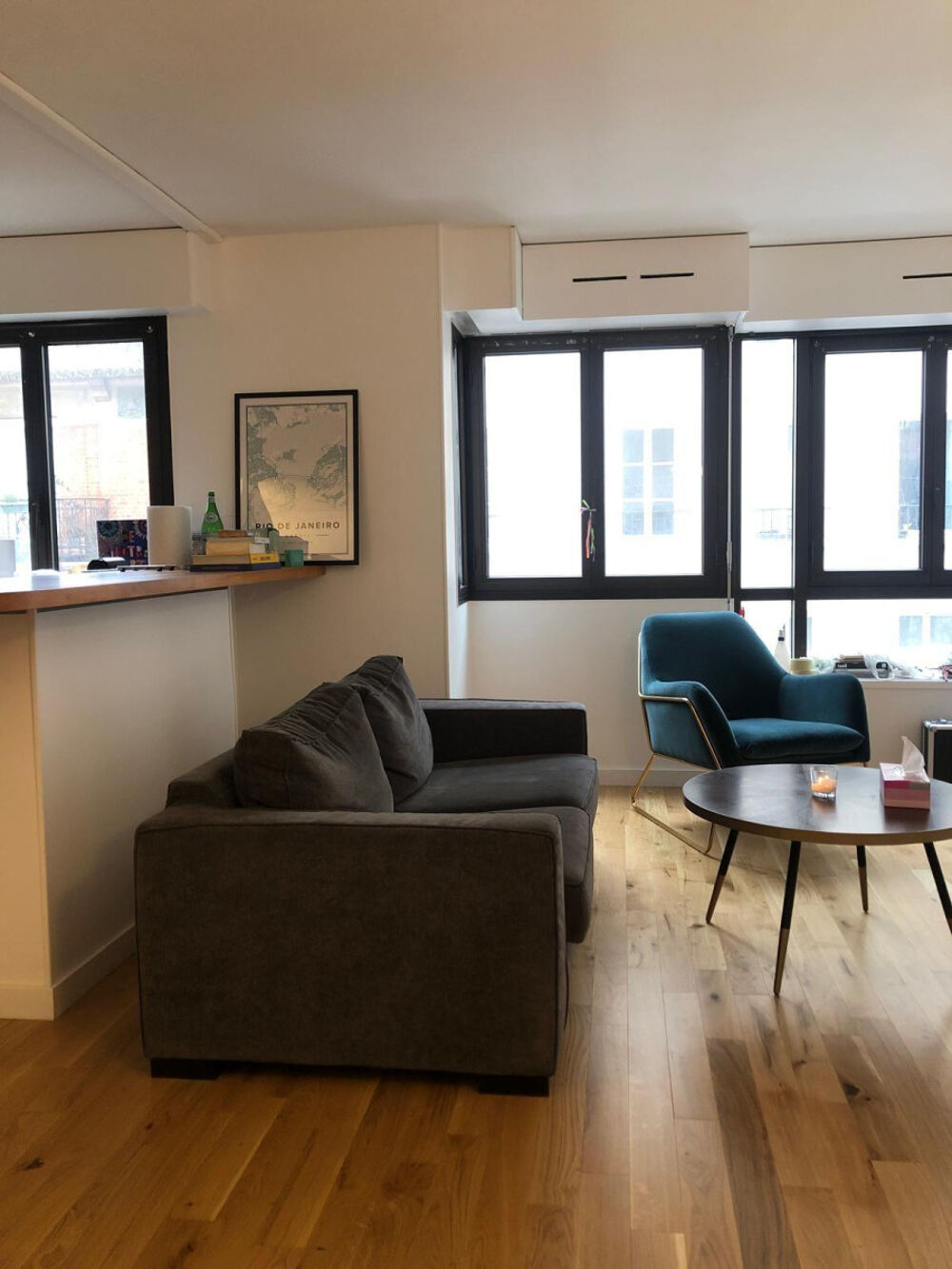 Location Appartement Charmant T2 de 46,14m2 meublé loué 1495€ C.C. Paris 19