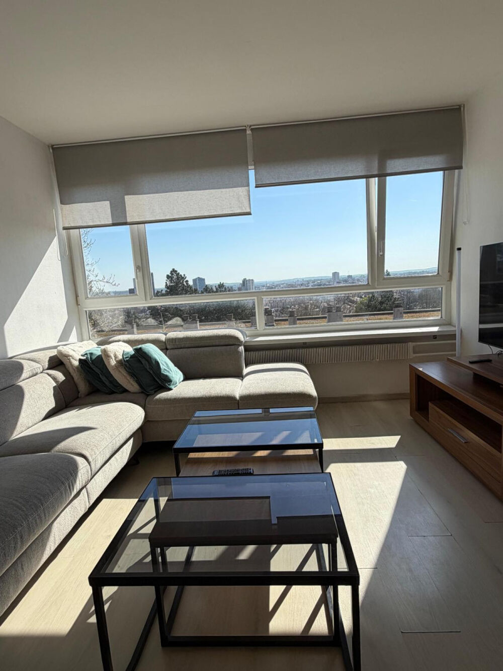 Location Appartement Beau 3P lumineux 56m² sud super vue proche centre Nancy