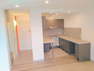  Appartement à louer 2 pièces 50 m²