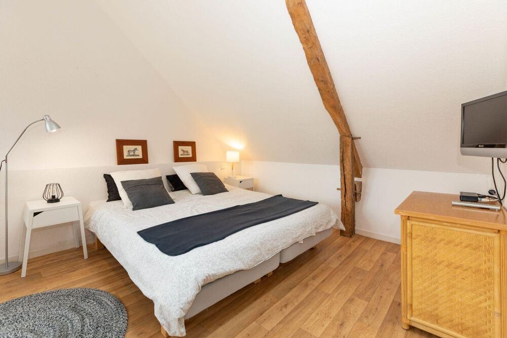 Location Appartement Grand studio lumineux équipé prêt a vivre au calme Chantepie