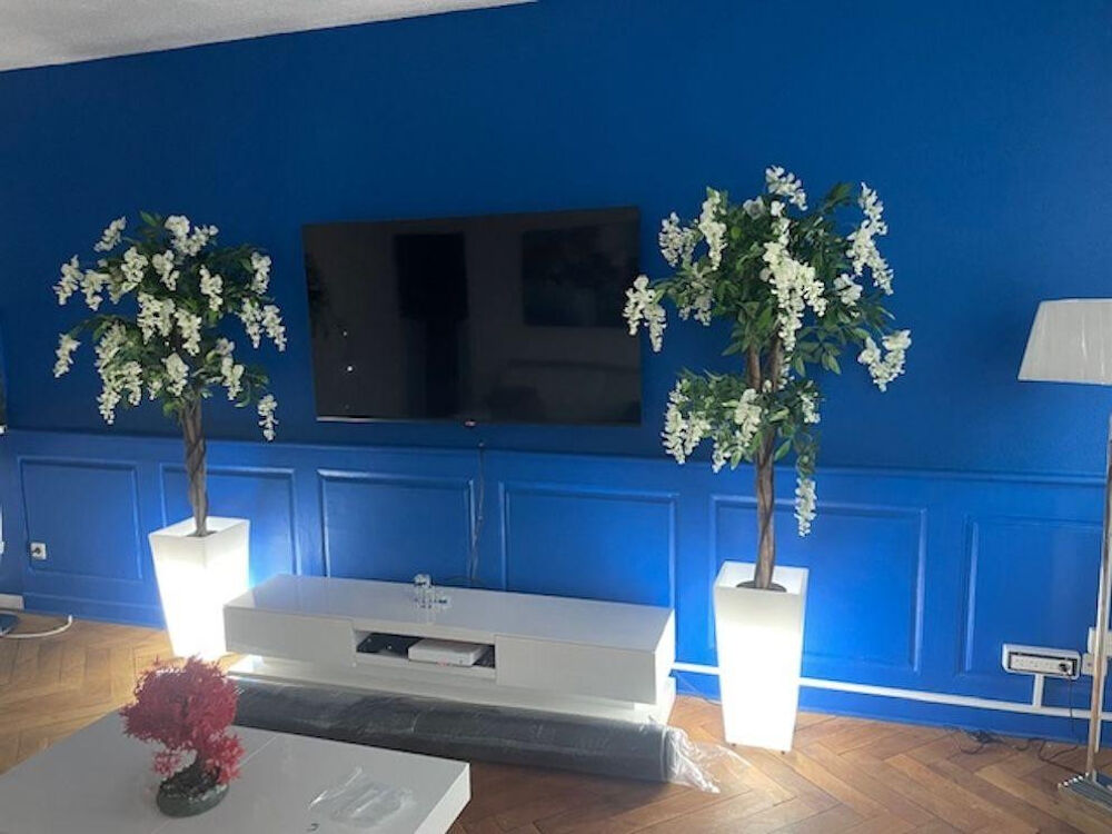 Location Appartement PETIT APPARTEMENT DE STANDING Strasbourg