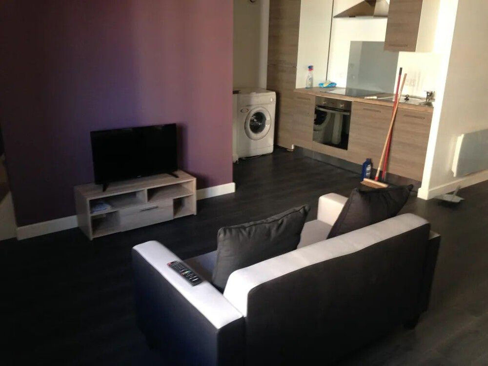 Location Appartement Beau loft meublé 36m² loi Carrez ( 56m² au sol) Saint-Étienne
