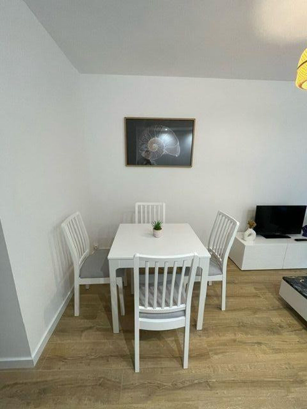 Location Appartement Colocation Rennes joli appartement 72m2 rénové Rennes
