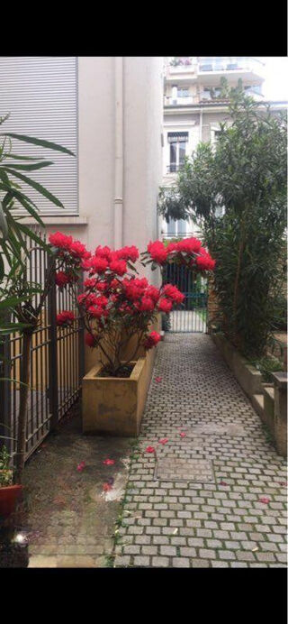  Appartement à louer 2 pièces 48 m²