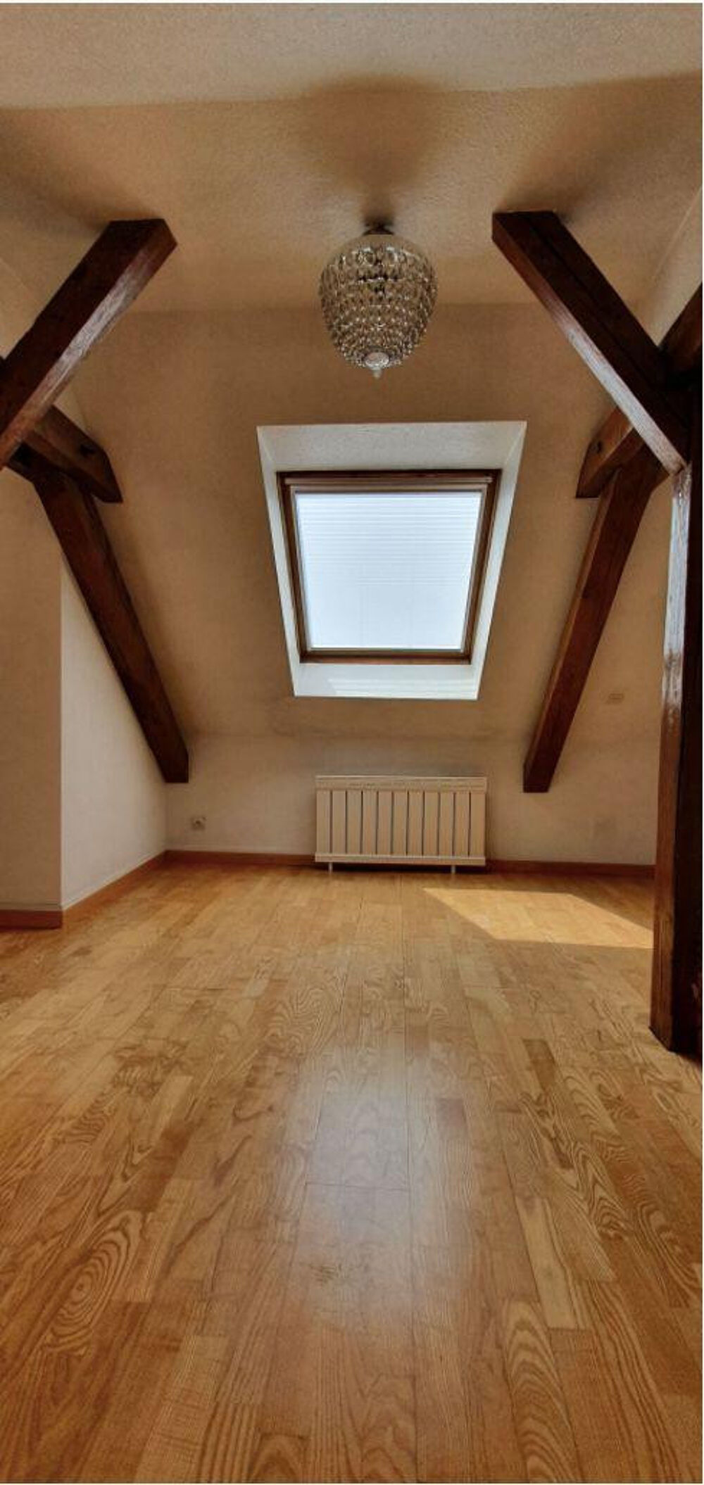 Location Appartement Bel appartement duplex (Strasbourg Orangerie) Strasbourg