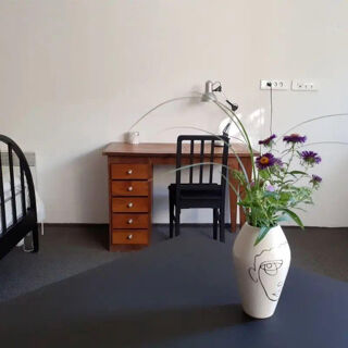  Appartement à louer 1 pièce 30 m²