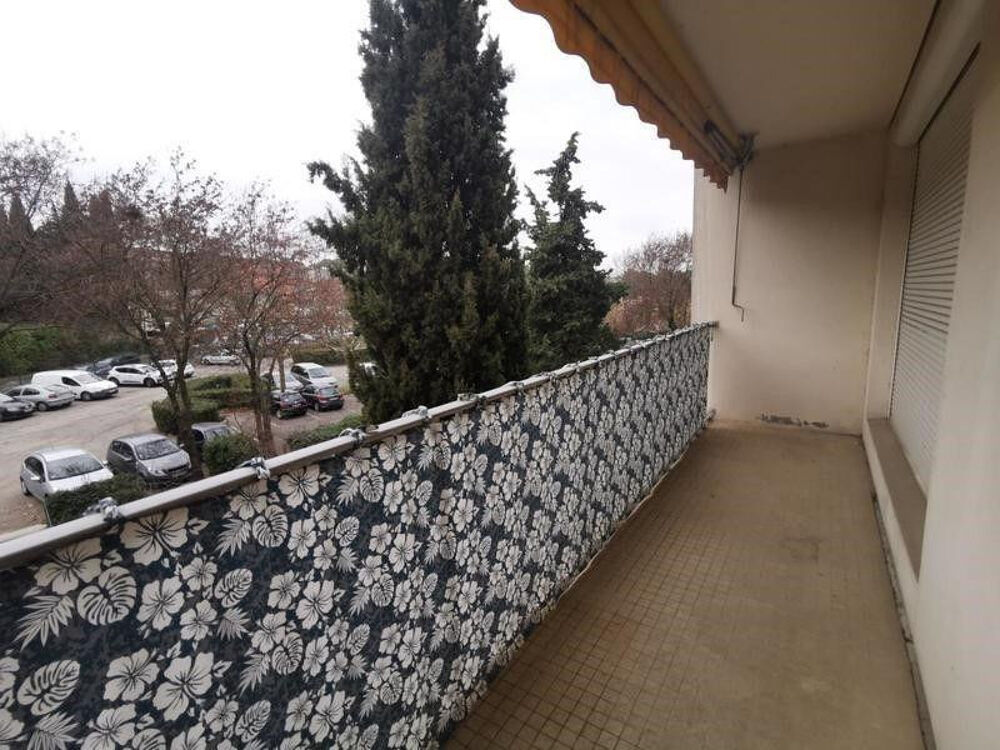 Location Appartement 2 pièces 50 m2 lumineux Montpellier Montpellier