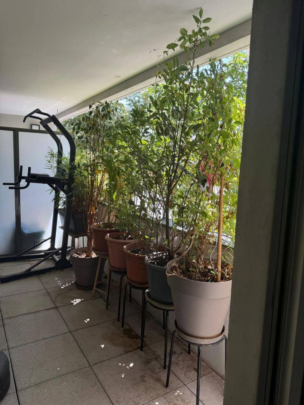 Location Appartement Beau T3 meublé 67m2 avec terrasse Lyon 8