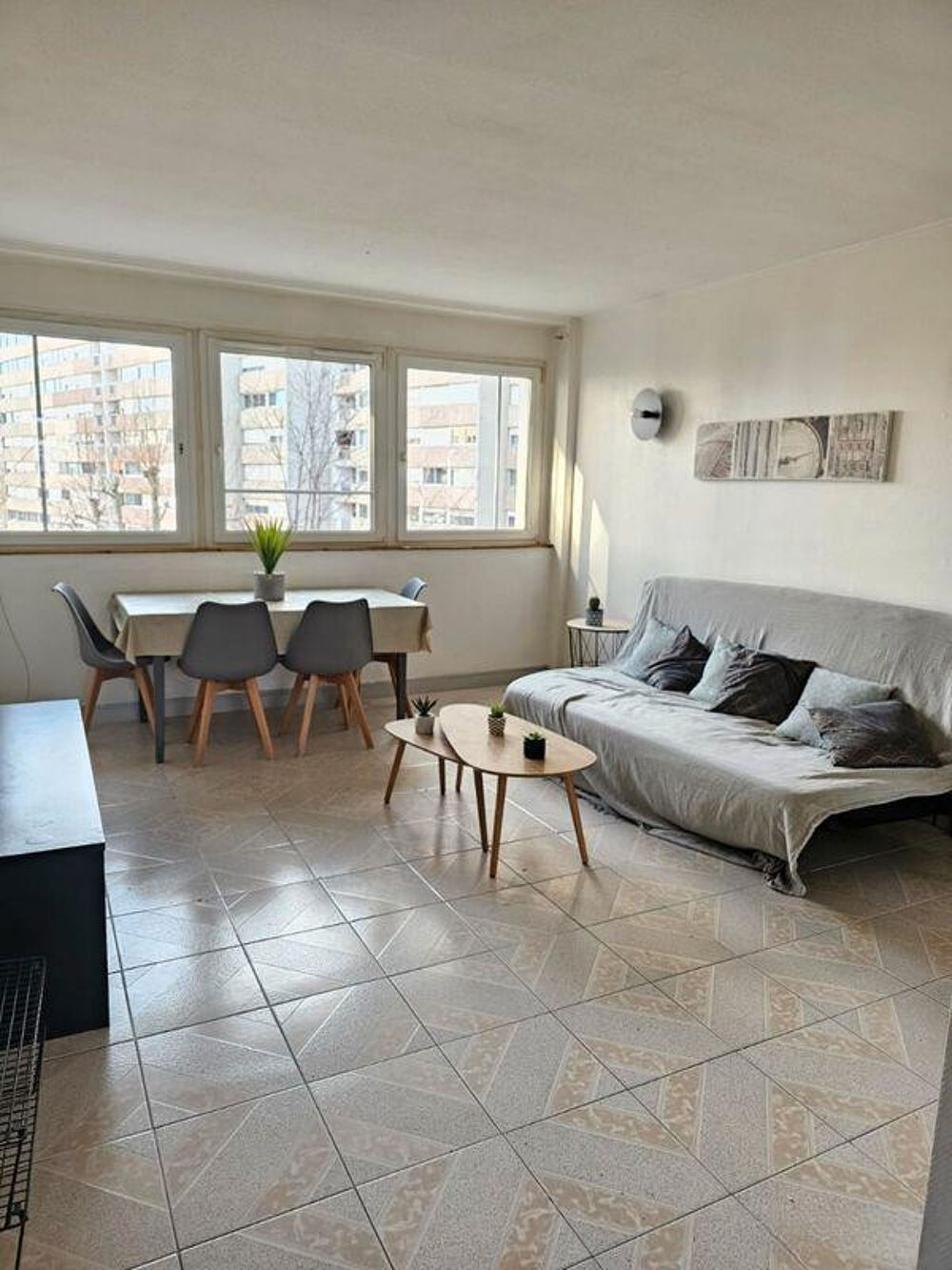 Location Appartement Beau 3P meublé 55m² Villeurbanne Villeurbanne
