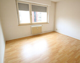  Appartement à louer 1 pièce 20 m²