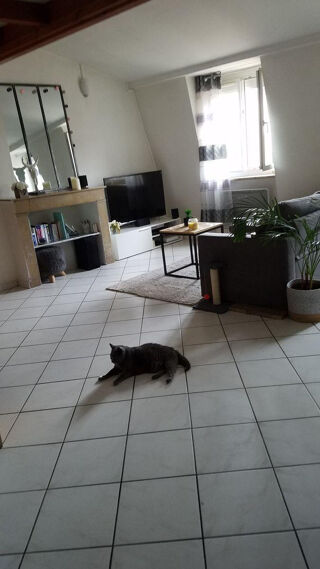  Appartement � louer 1 pi�ce 42 m�