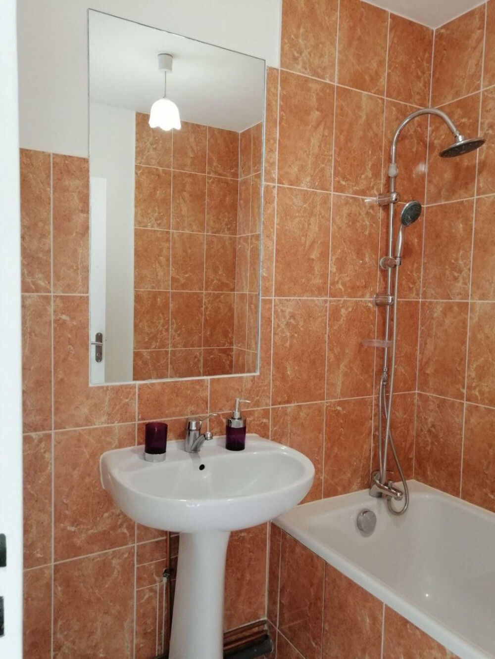 Beau meublé T2 55m² très lumineux refait à neuf