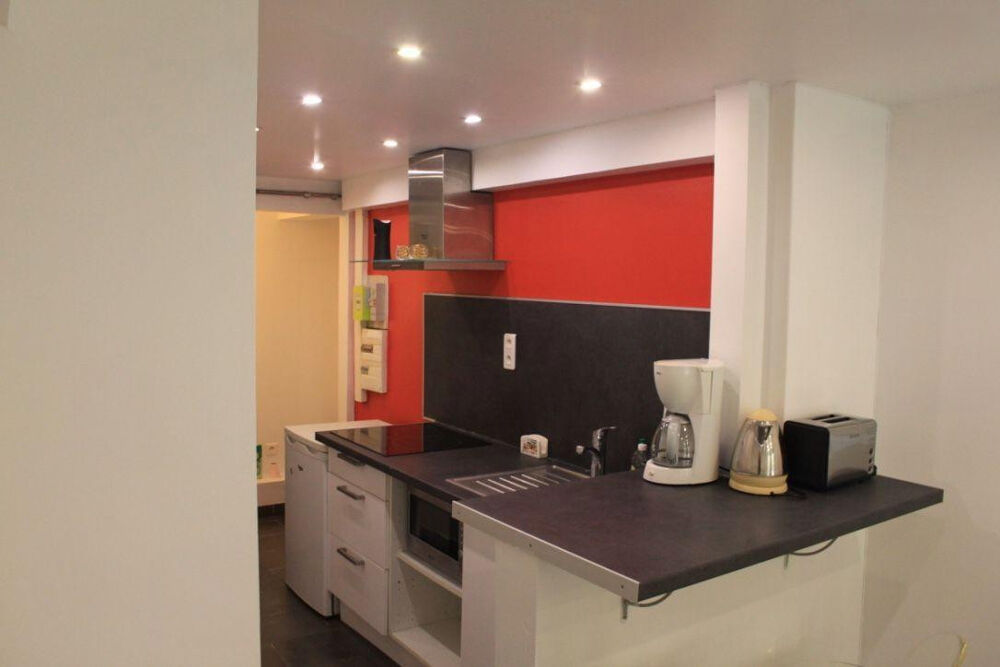 Location Appartement Loue STUDIO DE 23m2 entièrement rénové LYON 01 Lyon 1