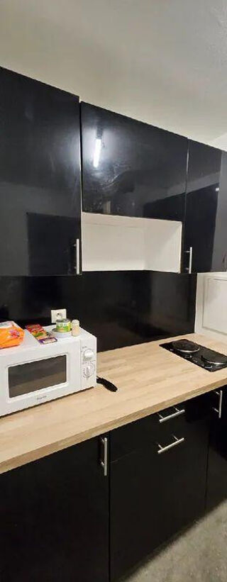  Appartement à louer 1 pièce 30 m²