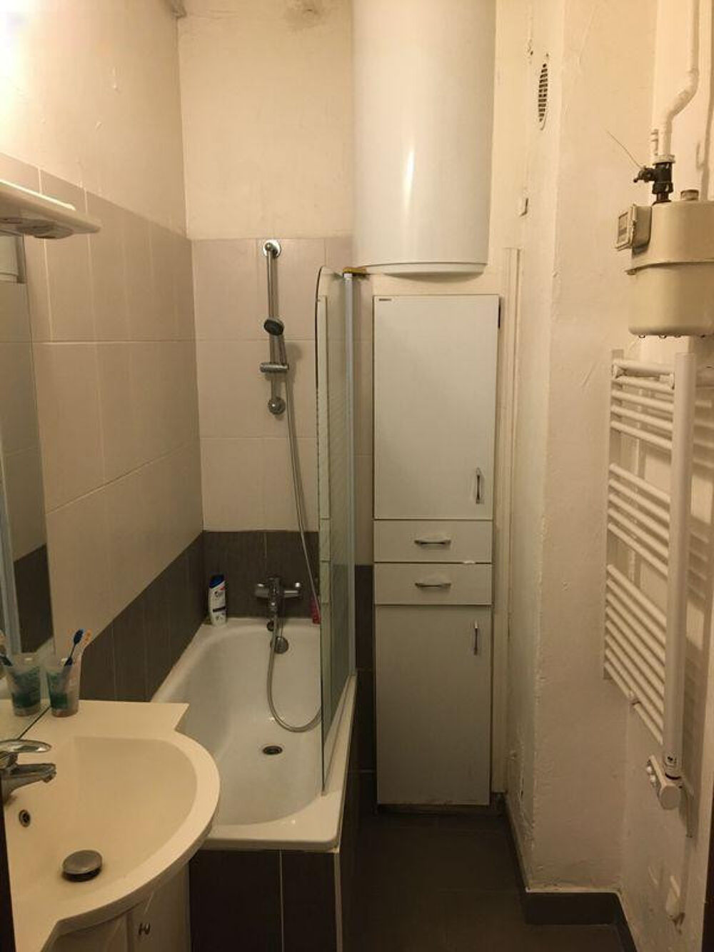 Location Appartement Grand Studio meublé - tram au pied Lyon 7