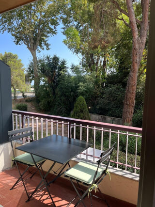  Appartement à louer 1 pièce 20 m²