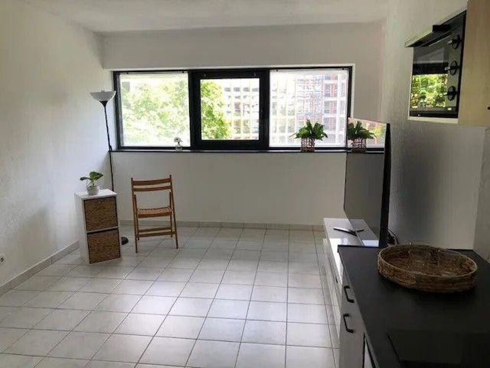 Location Appartement T2 rénové 33m² Timone Fac des Sciences Marseille 5