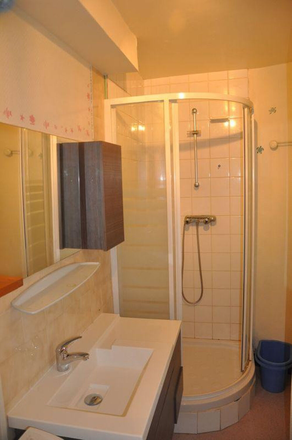 Location Appartement T1 hyper centre ATYPIQUE Angers