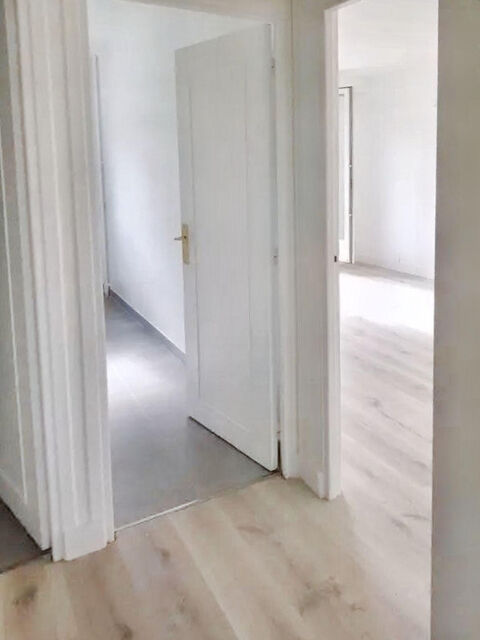   Bel appartement rénové, ensoleillé et lumineux Appartement - 3 pièce(s) - 52 m²