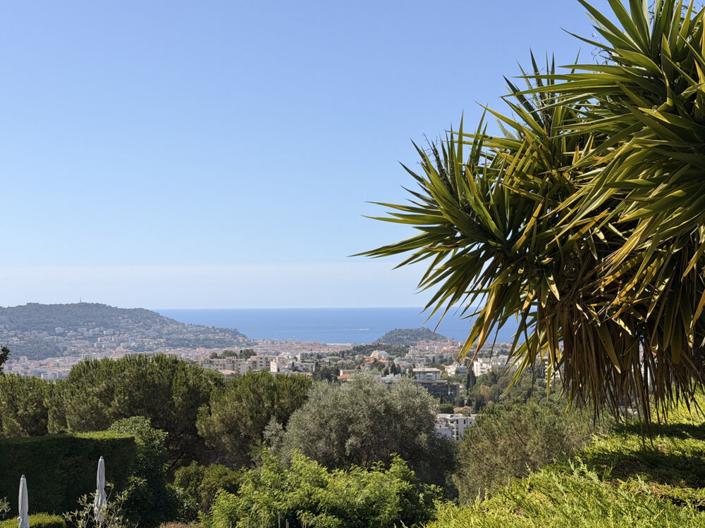 Vente Appartement Appartement  - Studio  - 18.49 m² Nice