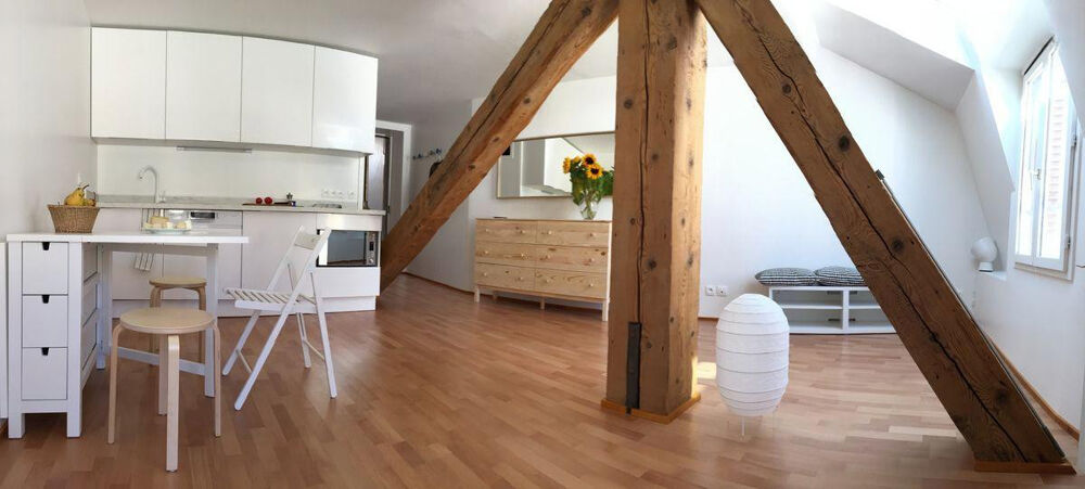 Location Appartement Très bel appartement - 30 m2 - centre ville Lyon 1