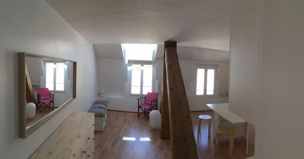 Location Appartement Très bel appartement - 30 m2 - centre ville Lyon 1
