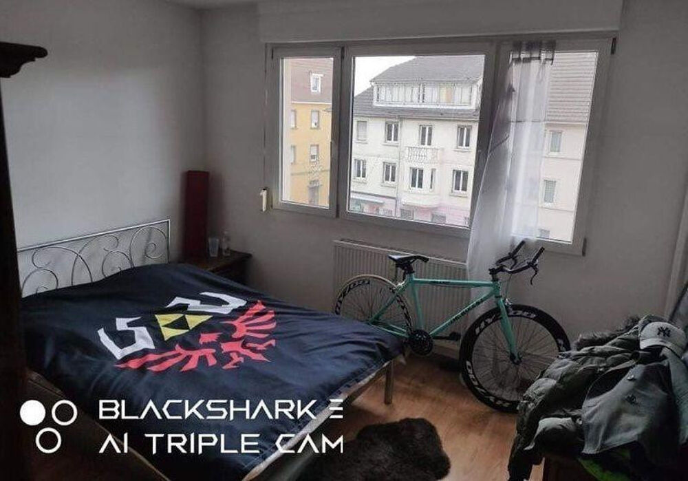 Location Appartement Bel F2 - Balcon, cave et placard mural Saint-louis