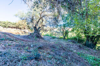  Terrain � vendre 887 m�