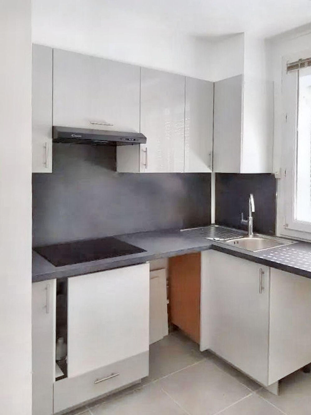 Location Appartement Bel appartement rénové, ensoleillé et lumineux Nogent-sur-marne