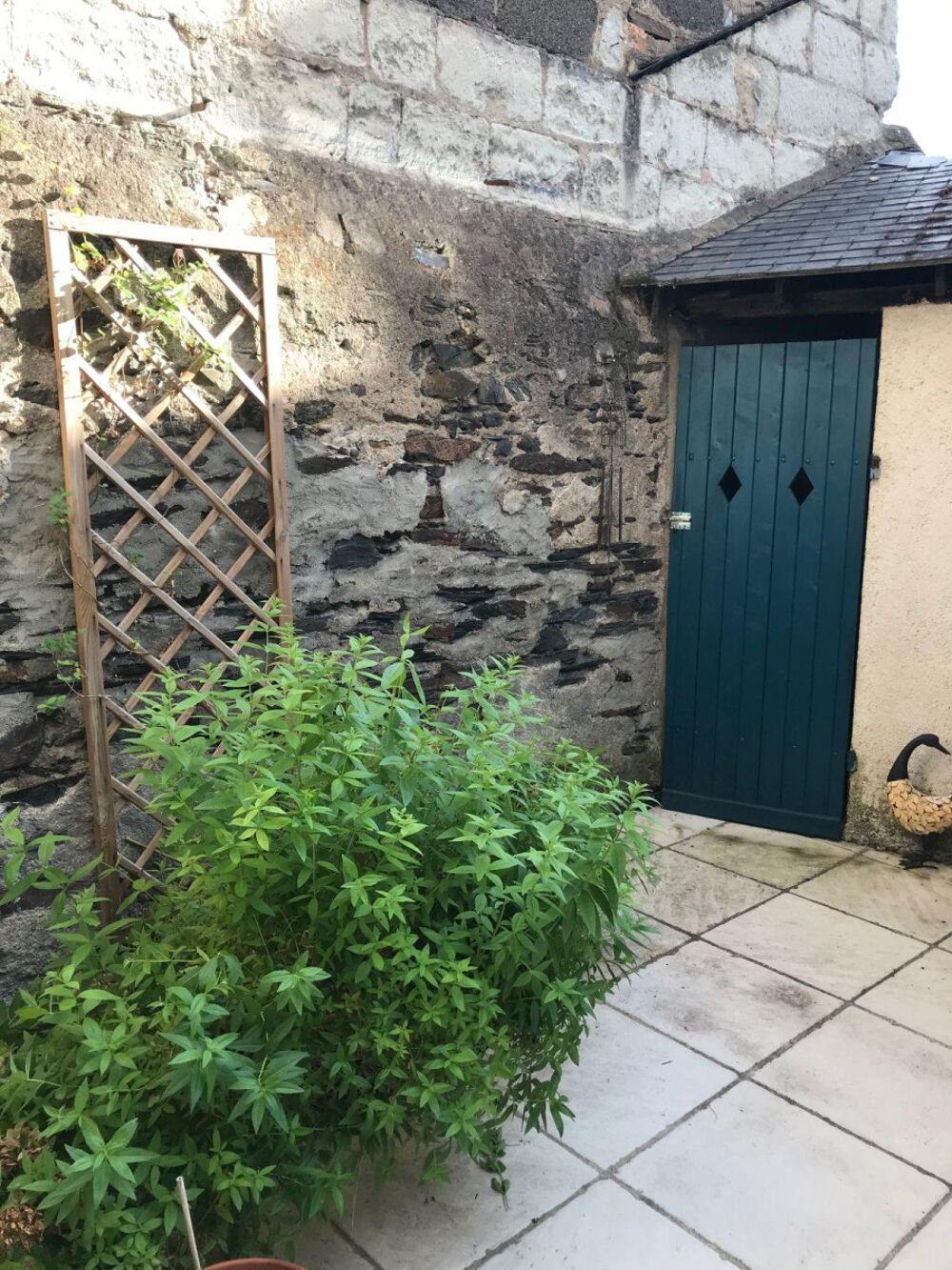 Location Appartement Proche ST Serge- centre Angers lumineux et calme Angers