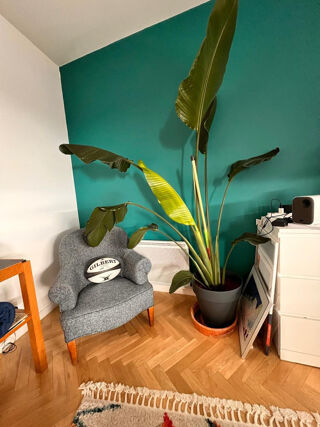  Appartement � louer 2 pi�ces 50 m�