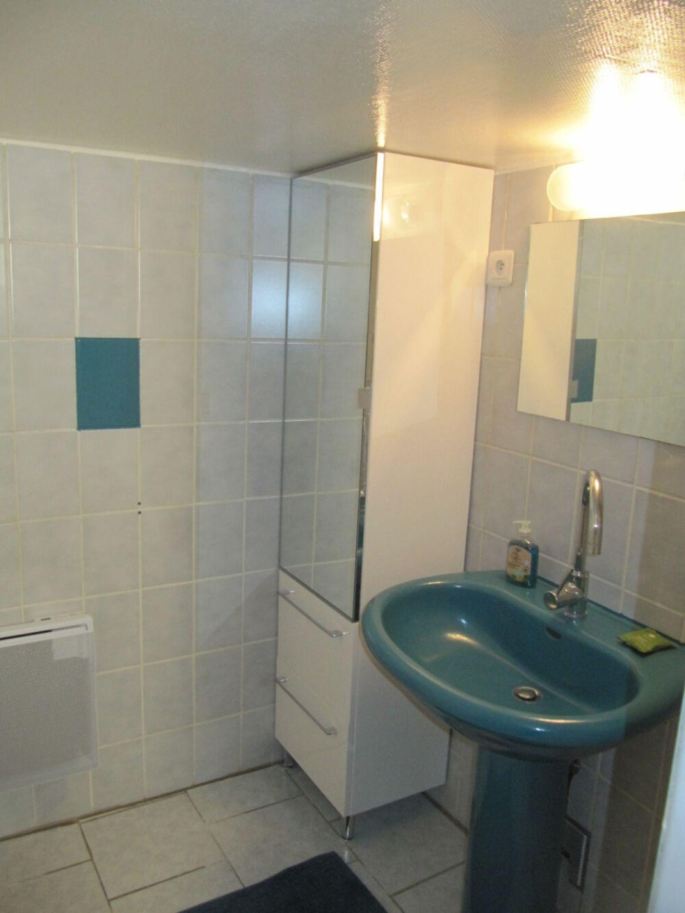 Location Appartement Studio meublé calme avec accès jardin Vitry-sur-seine